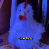 Pixelfed profile picture for @Charles