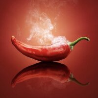 Pixelfed profile picture for @Chili