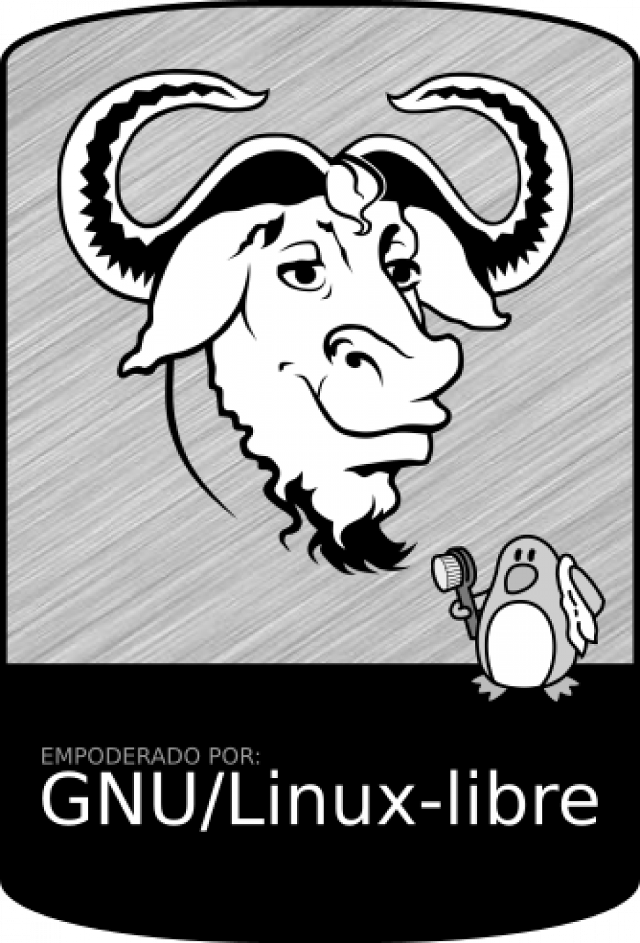 Desenvolvido por @gaelsreis:matrix.org