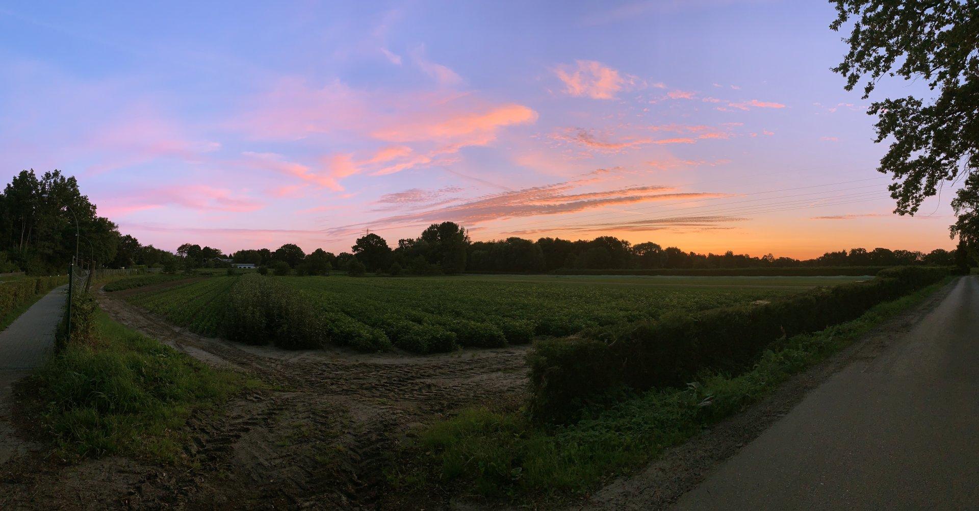 Sunrise over a farm field